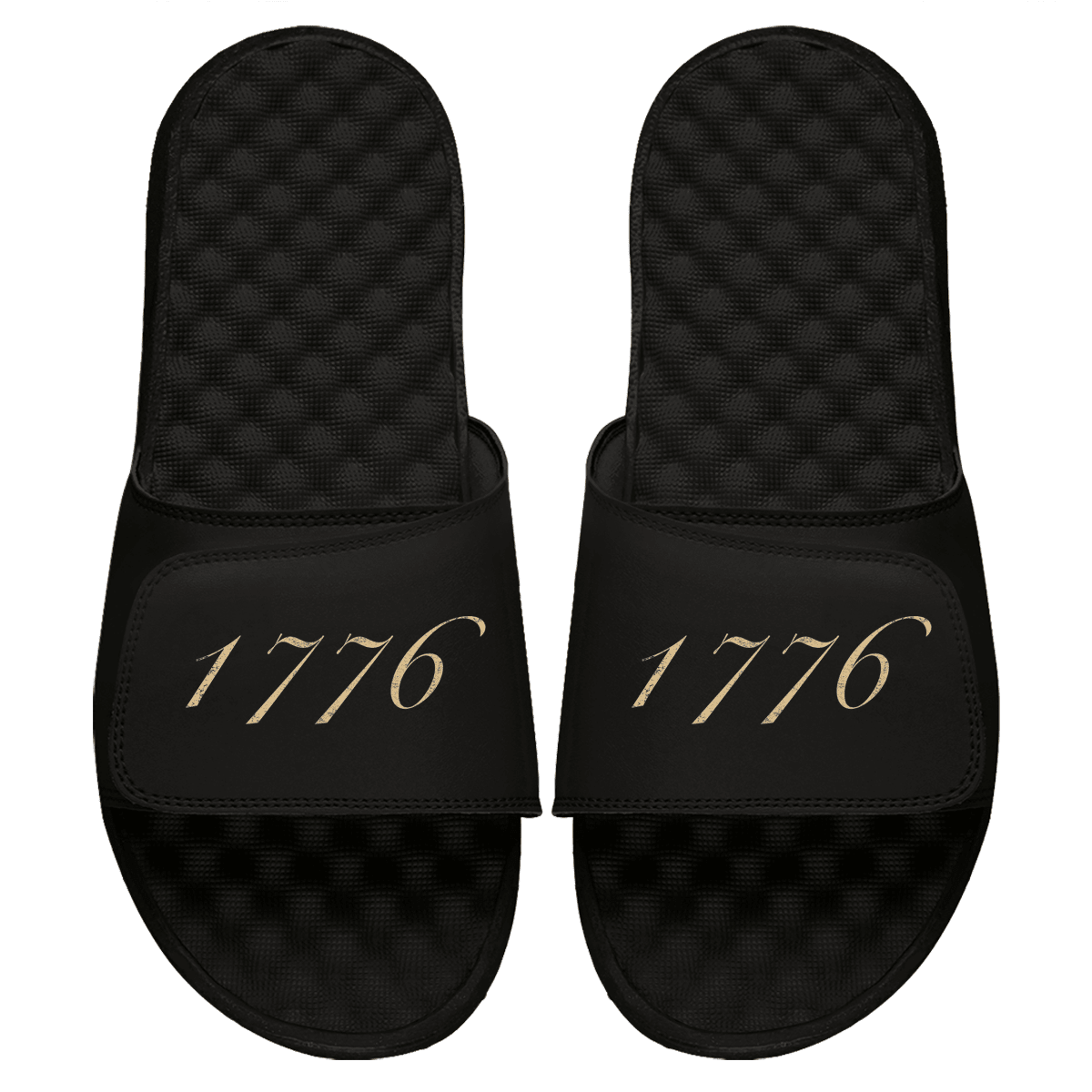 1776 Slides - Willow & Luna