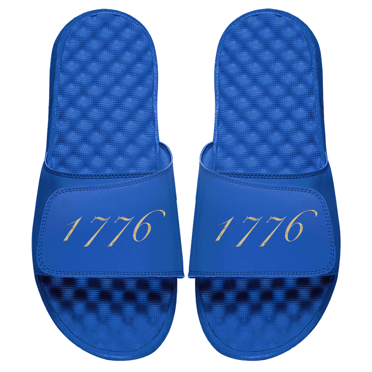 1776 Slides - Willow & Luna