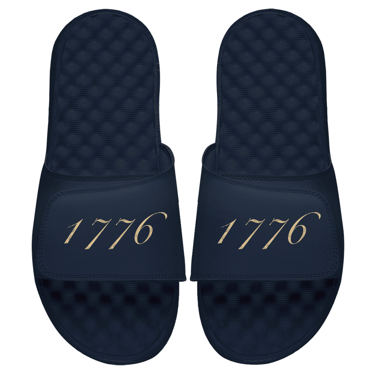 1776 Slides - Willow & Luna