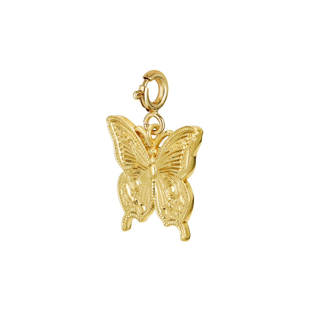 Papillon