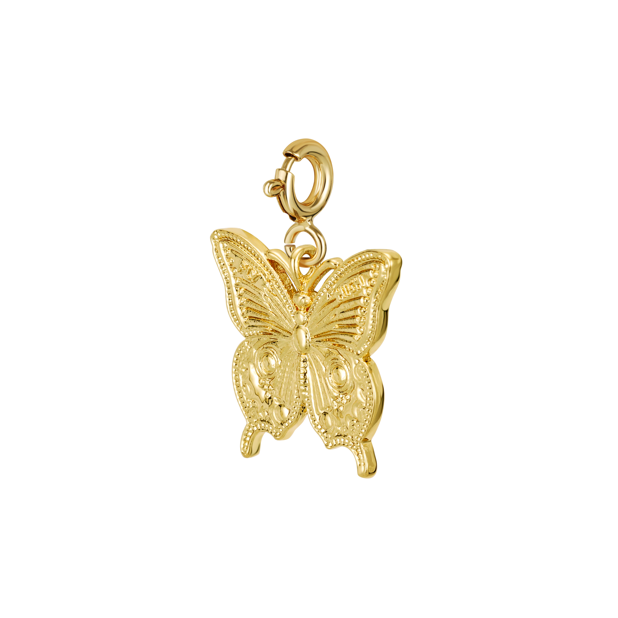 Papillon