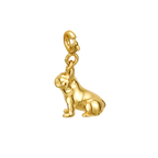 Frenchie