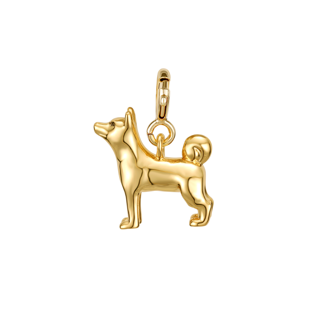 Shiba