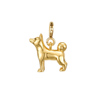 Shiba