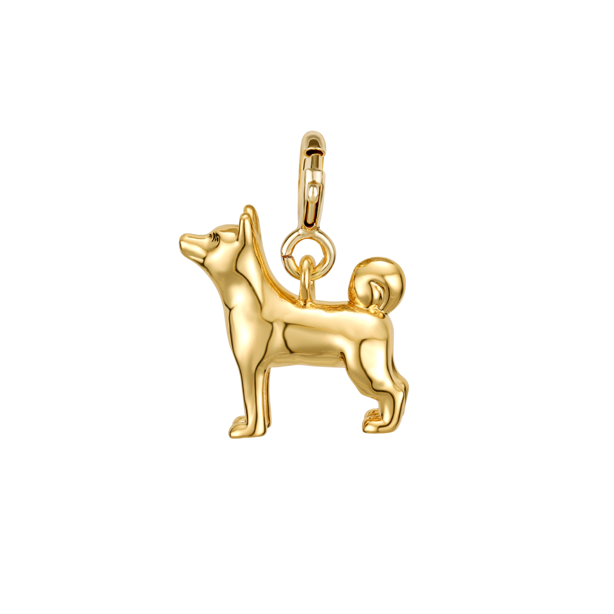Shiba