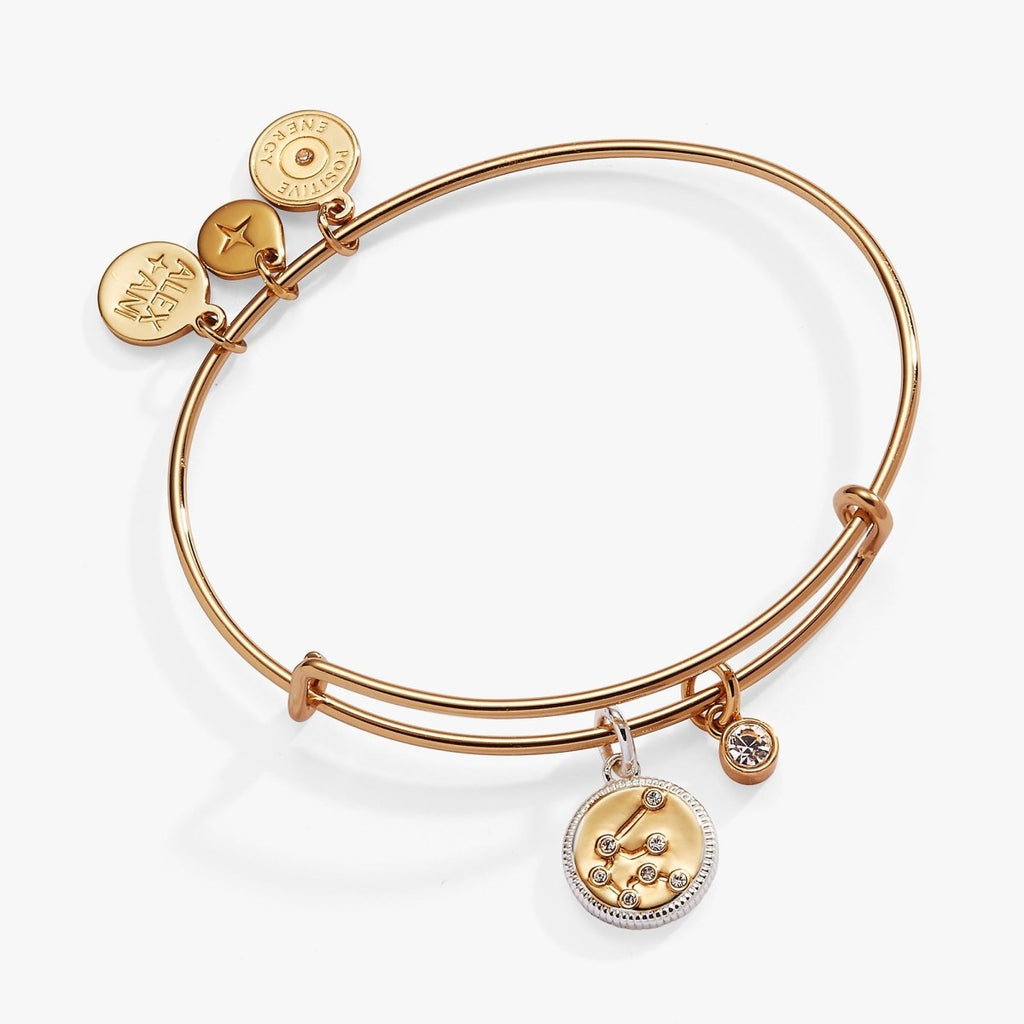 Aquarius Zodiac Charm Bangle - Willow & Luna