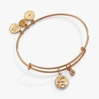 Aquarius Zodiac Charm Bangle - Willow & Luna