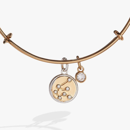 Aquarius Zodiac Charm Bangle - Willow & Luna