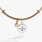 Aquarius Zodiac Charm Bangle - Willow & Luna