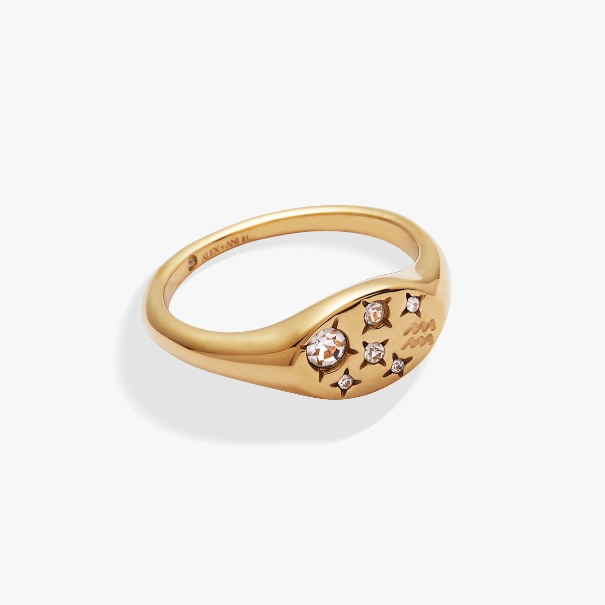 Aquarius Zodiac Ring - Willow & Luna