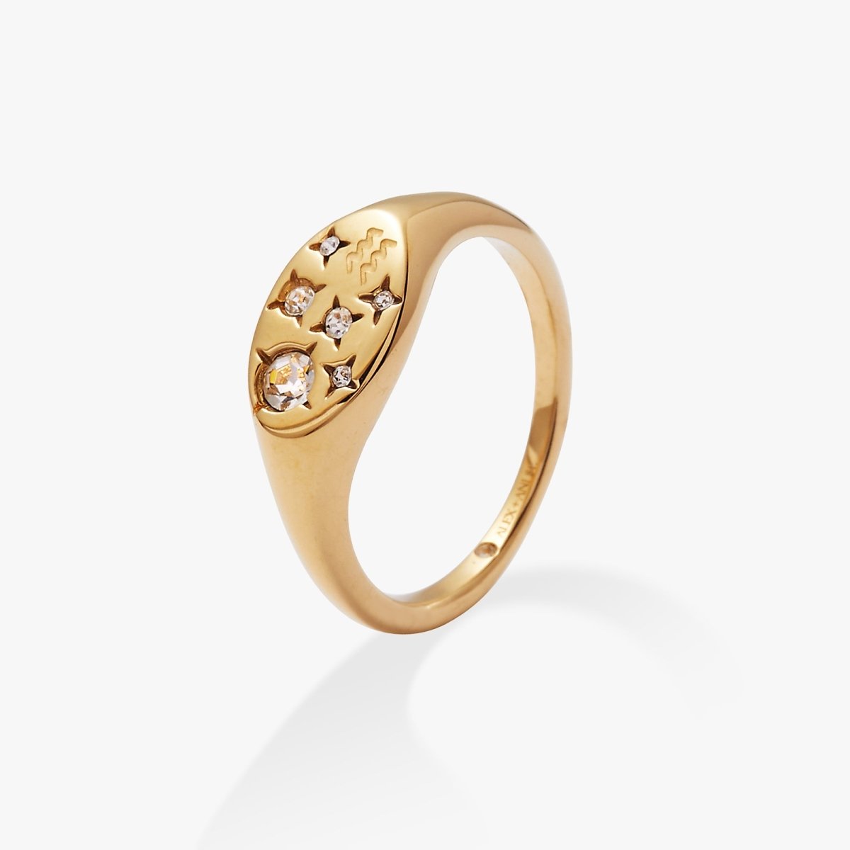 Aquarius Zodiac Ring - Willow & Luna