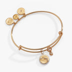 Aries Zodiac Charm Bangle - Willow & Luna