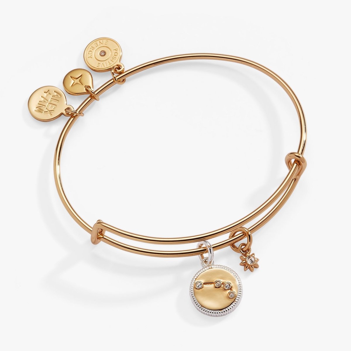 Aries Zodiac Charm Bangle - Willow & Luna