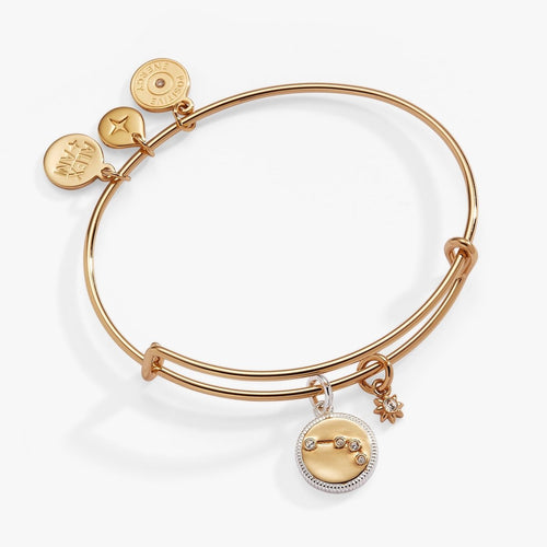 Aries Zodiac Charm Bangle - Willow & Luna