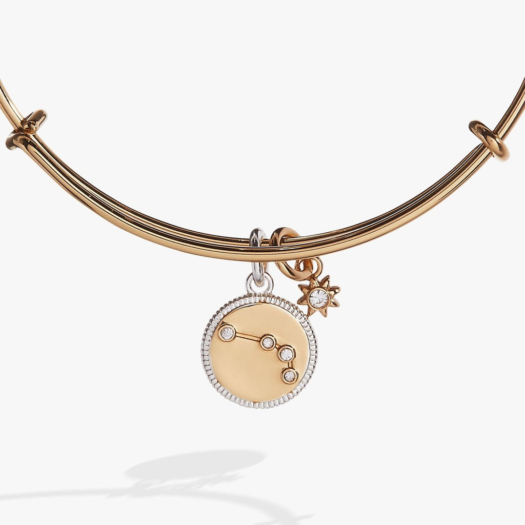Aries Zodiac Charm Bangle - Willow & Luna