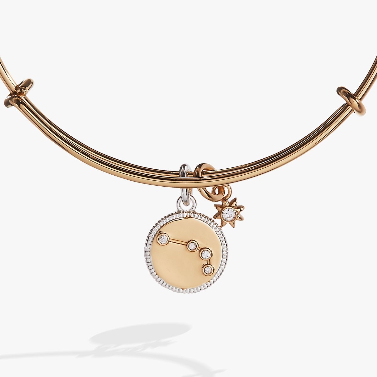 Aries Zodiac Charm Bangle - Willow & Luna