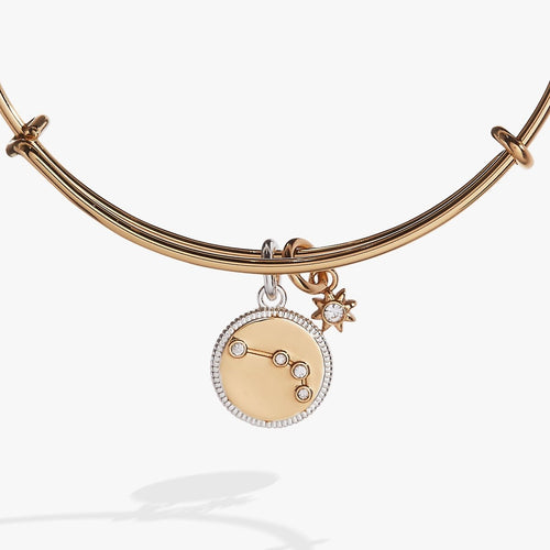 Aries Zodiac Charm Bangle - Willow & Luna