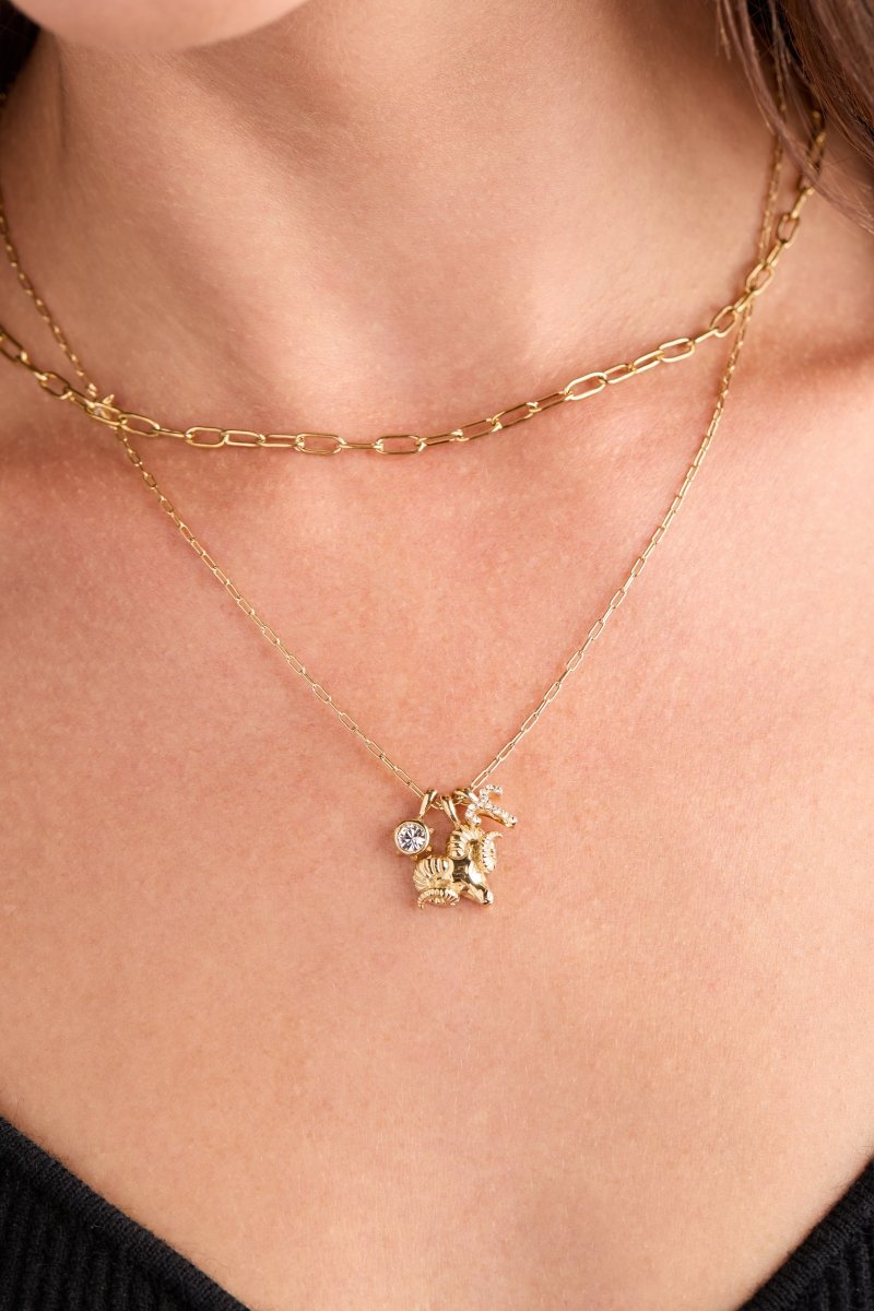 Aries Zodiac Charm Cluster Necklace - Willow & Luna
