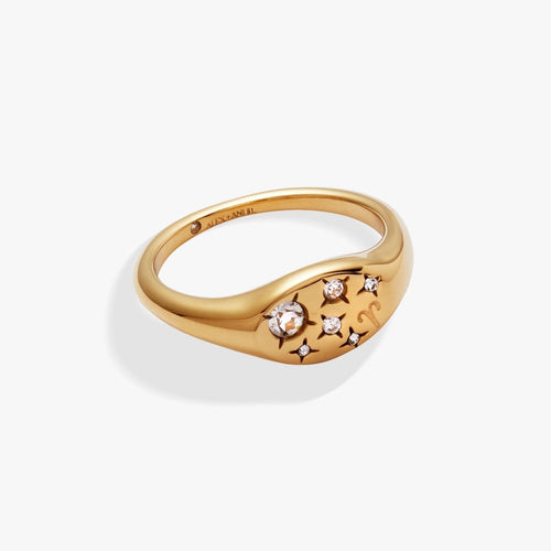 Aries Zodiac Ring - Willow & Luna