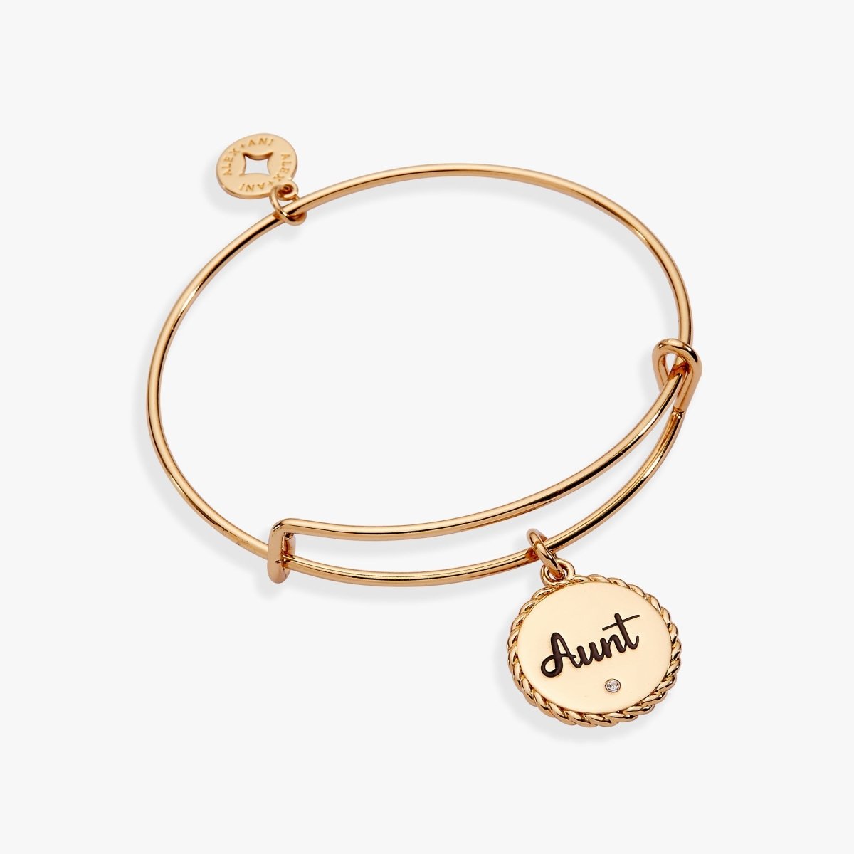 Aunt 'A Trusting Guide Forever By My Side' Charm Bangle - Willow & Luna