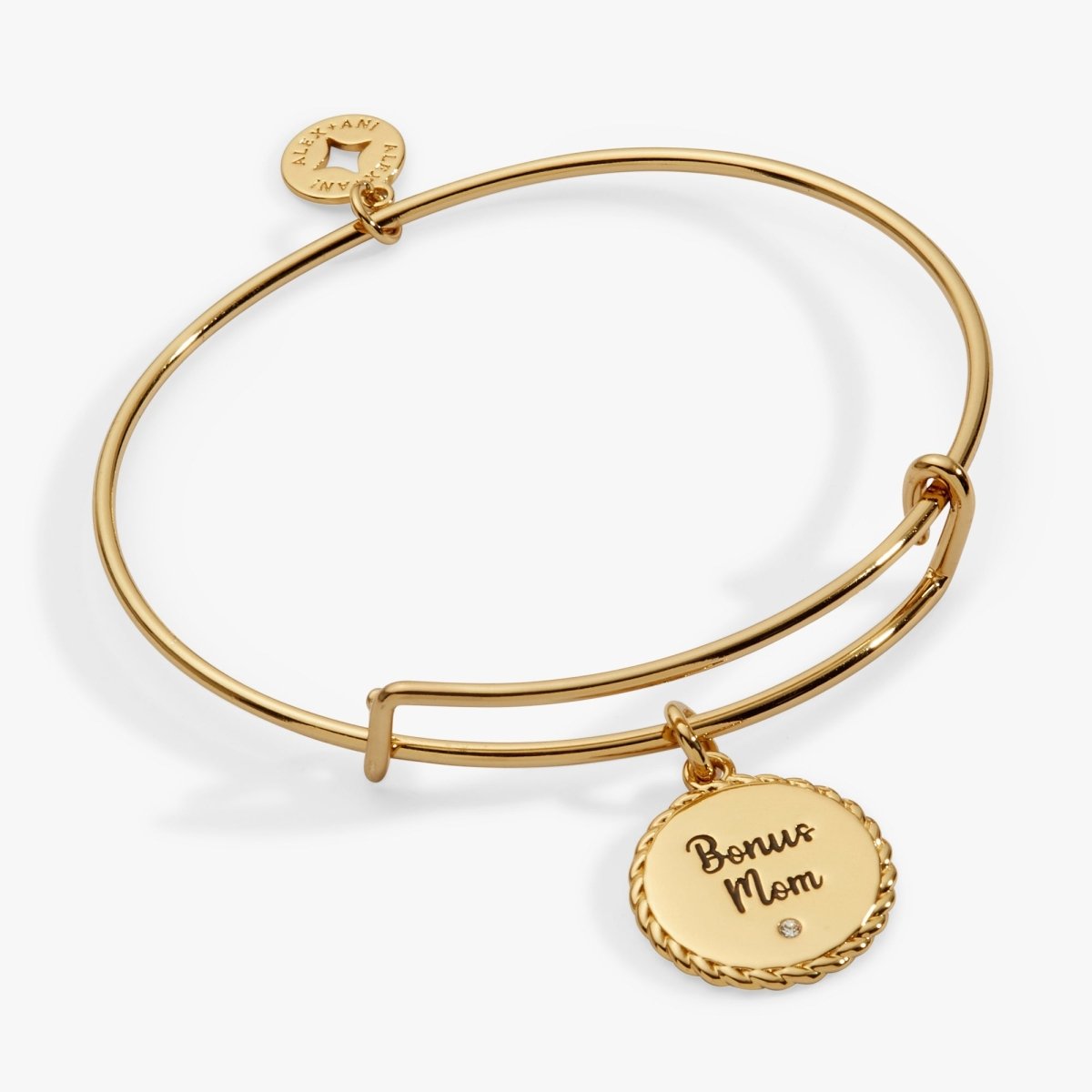 Bonus Mom 'Family Isn't Only Blessed By Name' Charm Bangle - Willow & Luna
