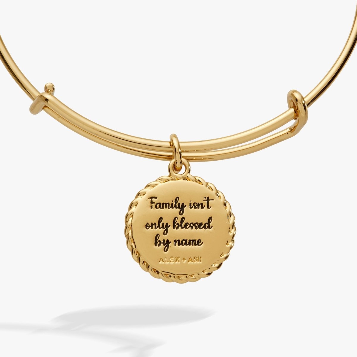 Bonus Mom 'Family Isn't Only Blessed By Name' Charm Bangle - Willow & Luna