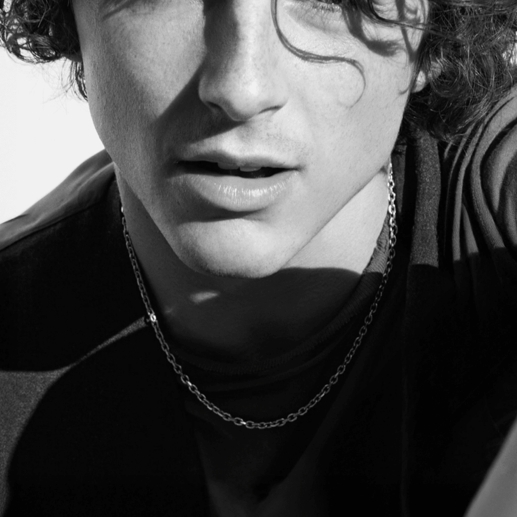 C007W B.Tiff 5mm Cable Link Chain Necklace - Willow & Luna