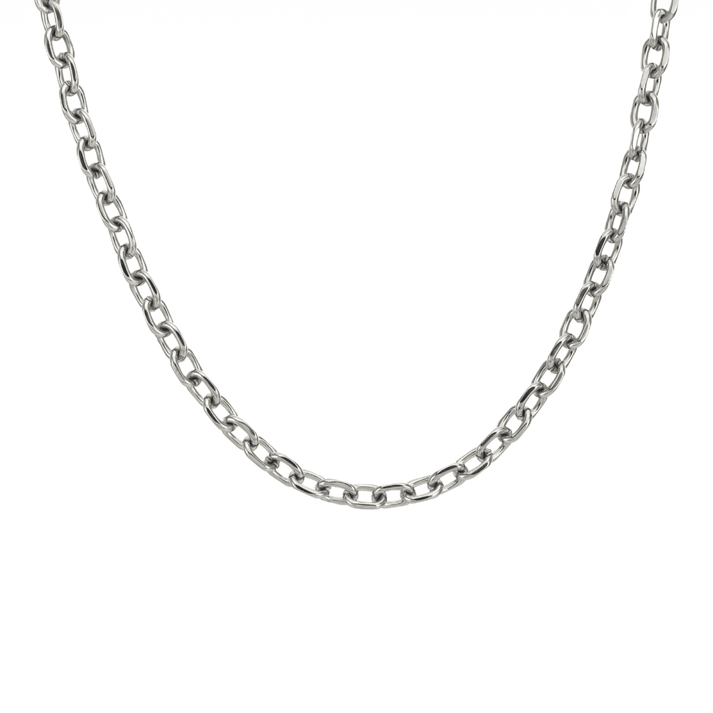 C007W B.Tiff 5mm Cable Link Chain Necklace - Willow & Luna