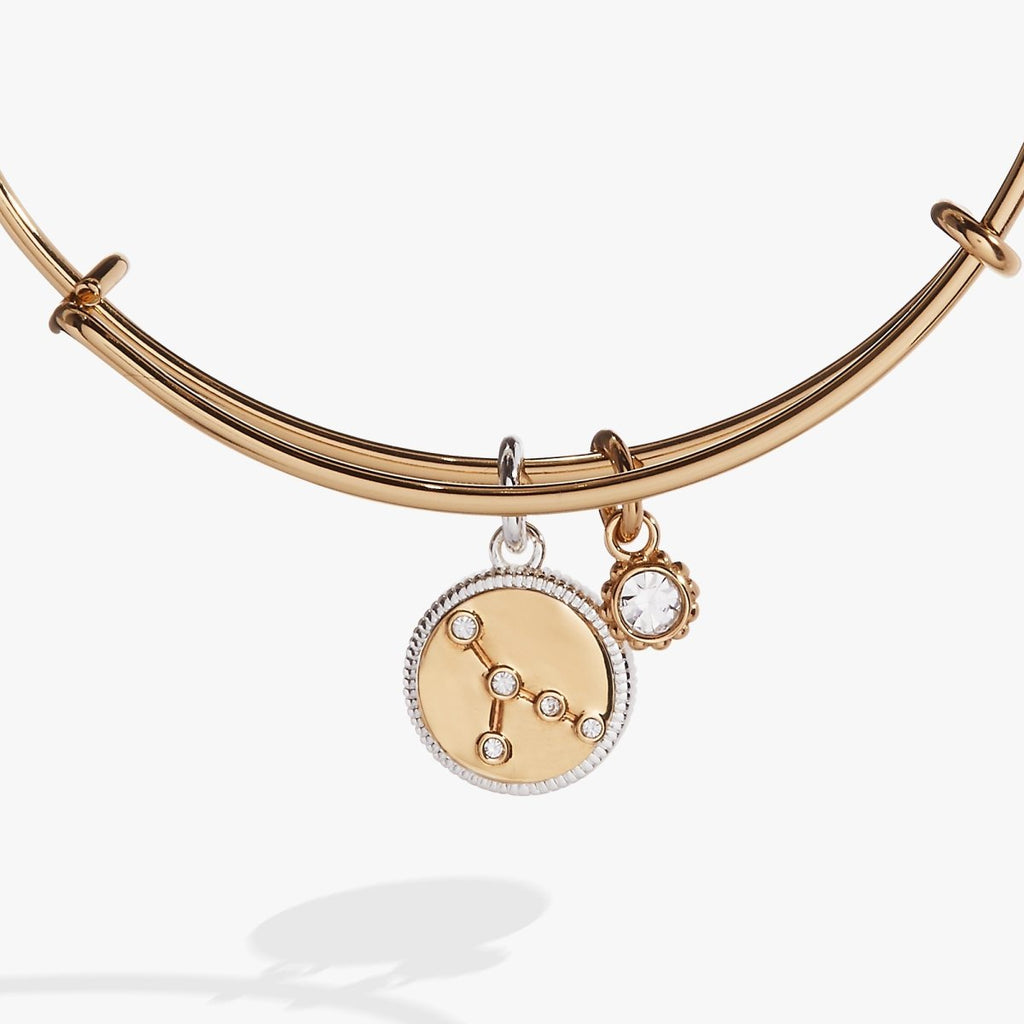 Cancer Zodiac Charm Bangle - Willow & Luna