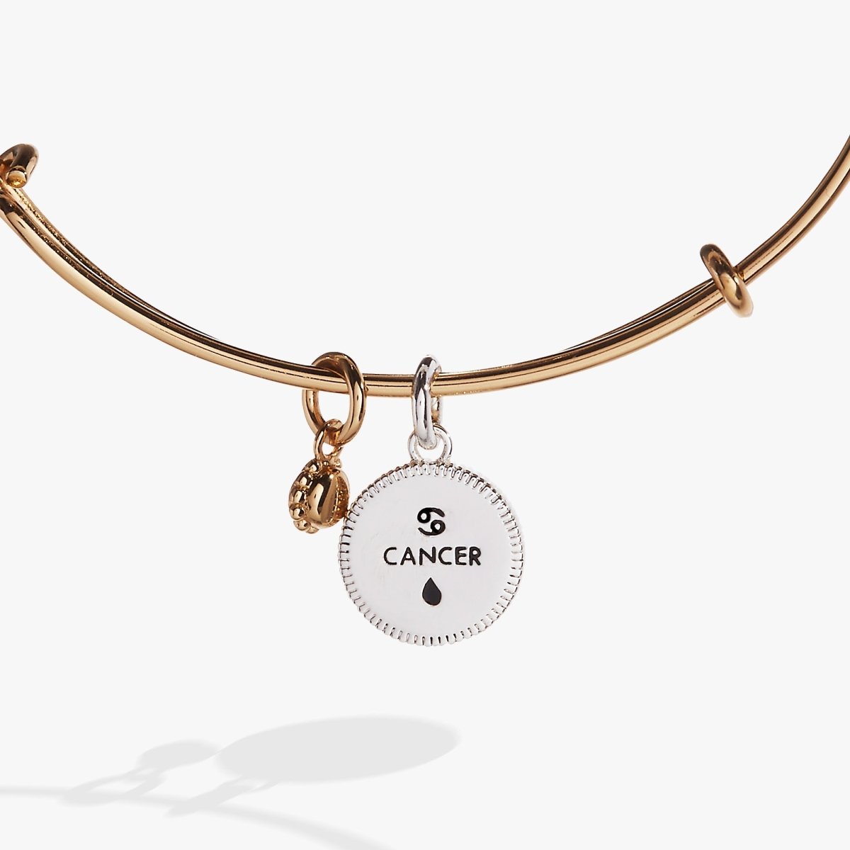 Cancer Zodiac Charm Bangle - Willow & Luna