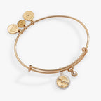 Cancer Zodiac Charm Bangle - Willow & Luna