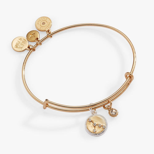 Cancer Zodiac Charm Bangle - Willow & Luna
