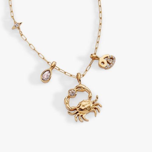 Cancer Zodiac Charm Cluster Necklace - Willow & Luna