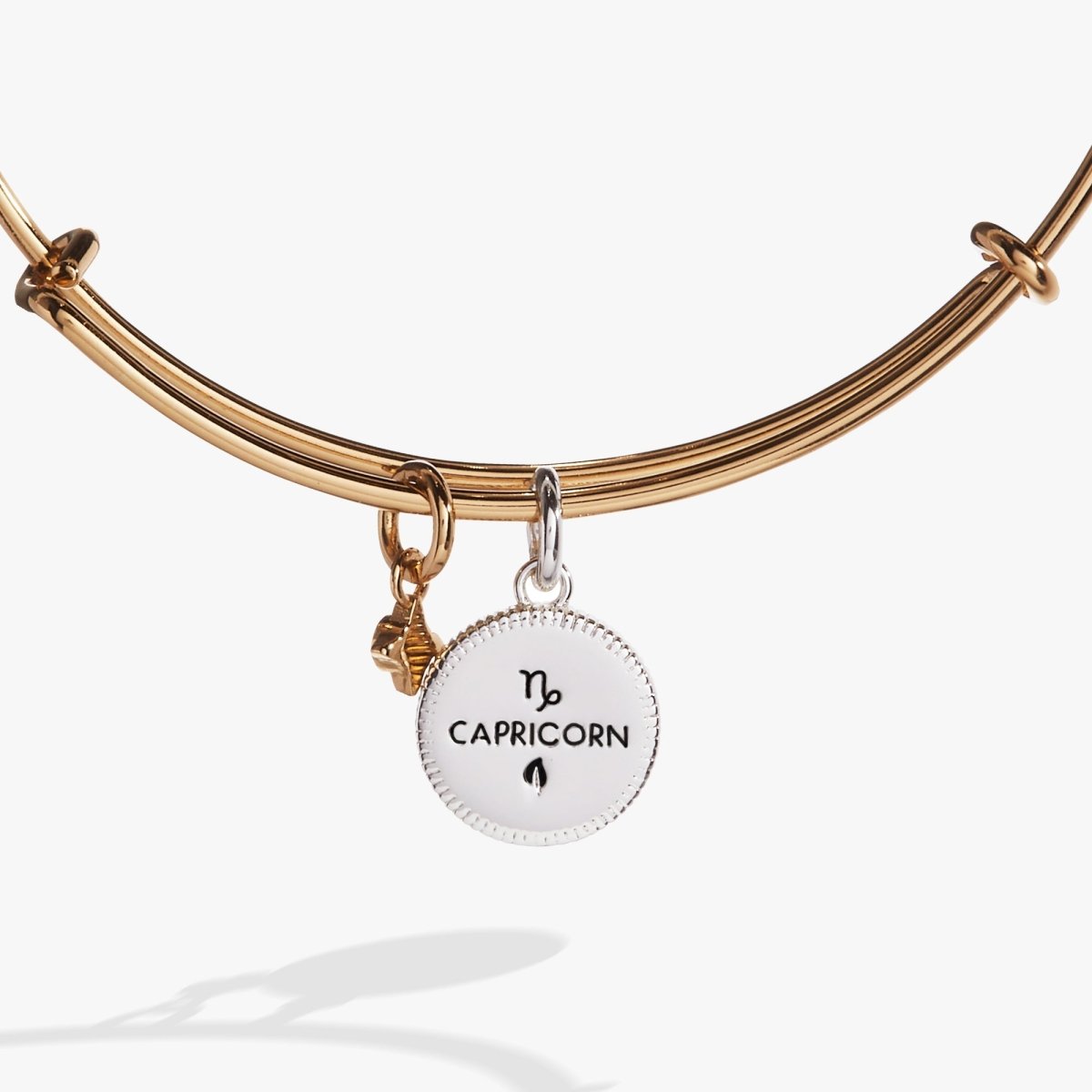 Capricorn Zodiac Charm Bangle - Willow & Luna