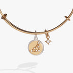 Capricorn Zodiac Charm Bangle - Willow & Luna