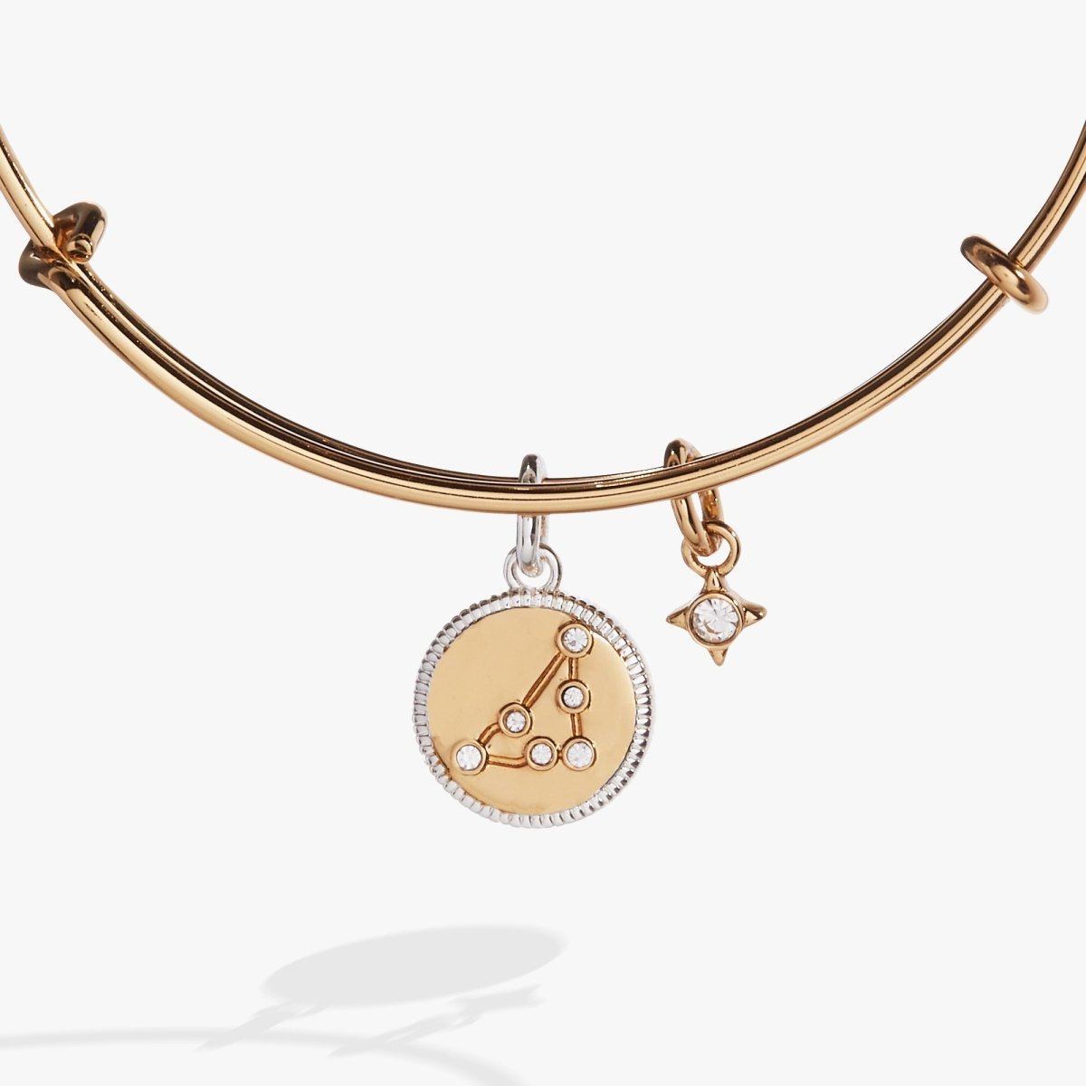 Capricorn Zodiac Charm Bangle - Willow & Luna