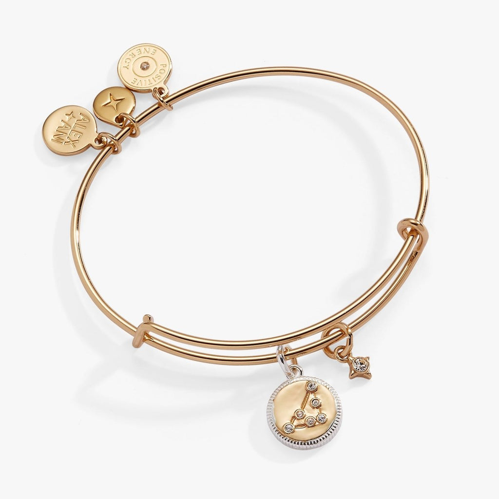 Capricorn Zodiac Charm Bangle - Willow & Luna