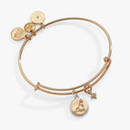 Capricorn Zodiac Charm Bangle - Willow & Luna