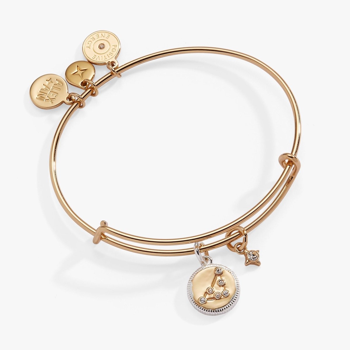 Capricorn Zodiac Charm Bangle - Willow & Luna