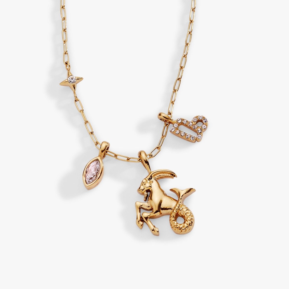 Capricorn Zodiac Charm Cluster Necklace - Willow & Luna