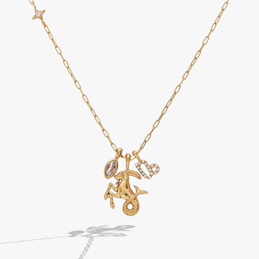 Capricorn Zodiac Charm Cluster Necklace - Willow & Luna