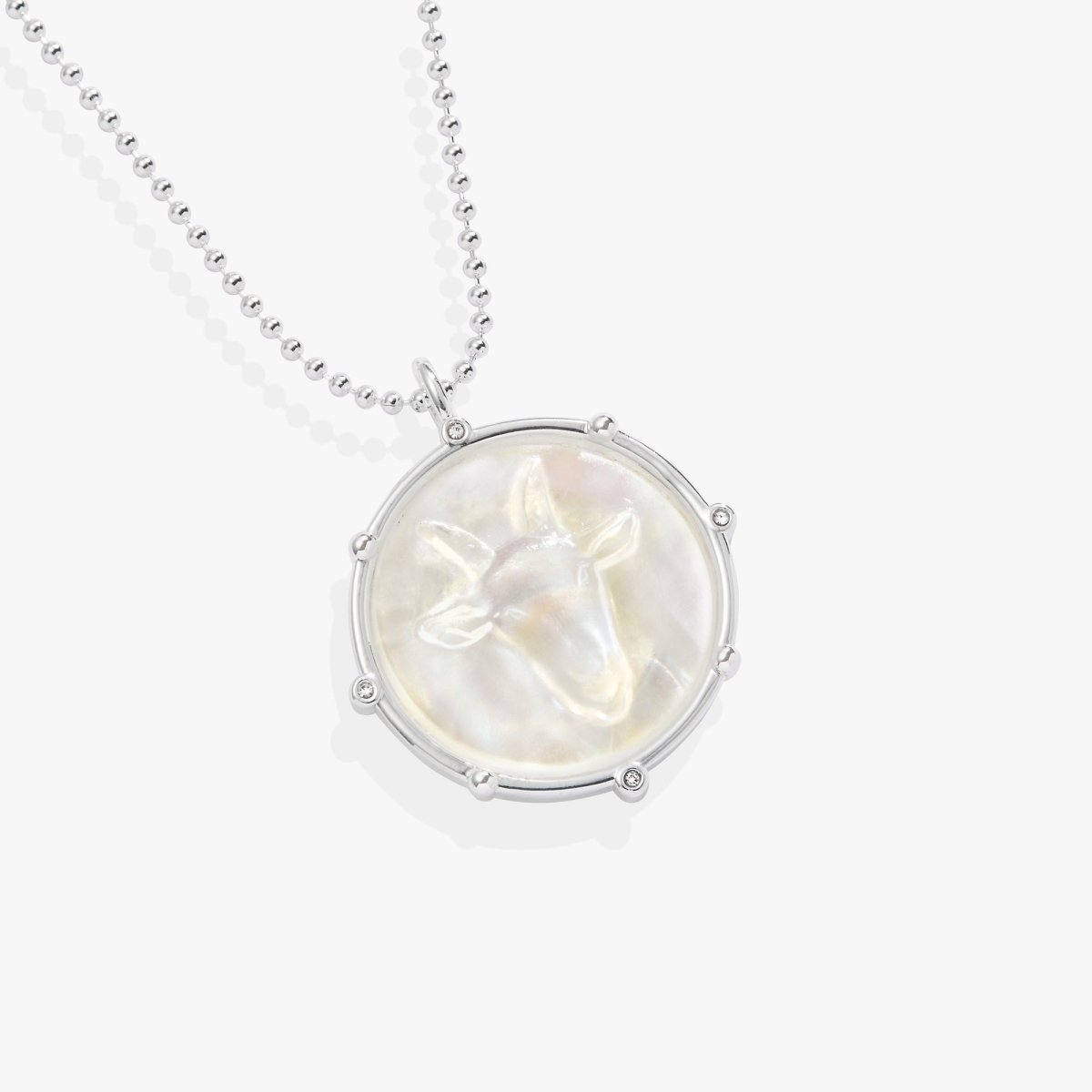Capricorn Zodiac Double - Sided Charm Necklace - Willow & Luna