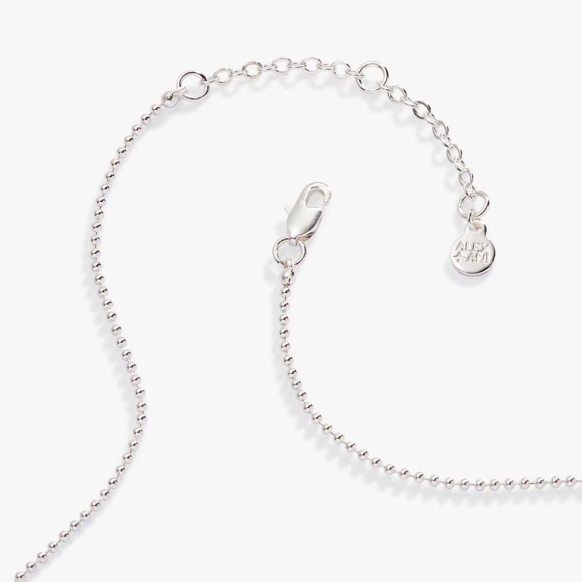 Capricorn Zodiac Double - Sided Charm Necklace - Willow & Luna