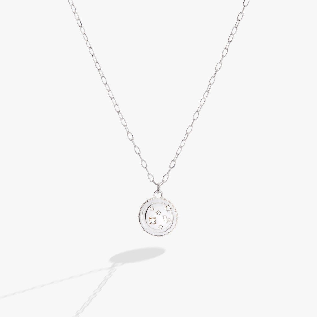 Capricorn Zodiac Precious Necklace - Willow & Luna