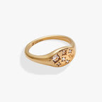Capricorn Zodiac Ring - Willow & Luna