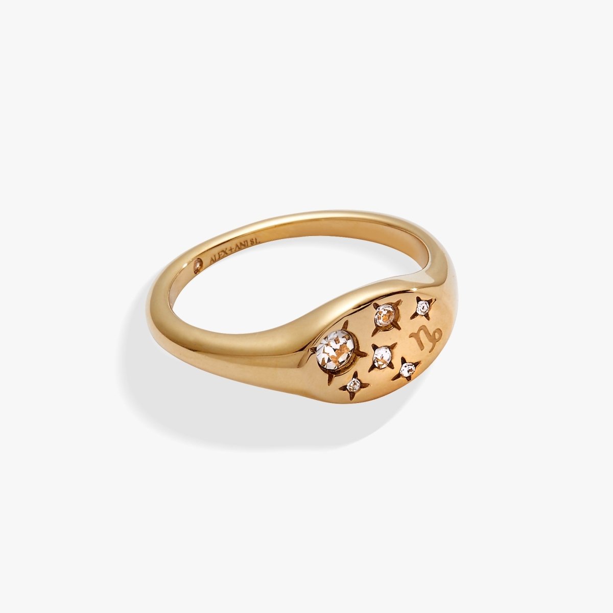 Capricorn Zodiac Ring - Willow & Luna