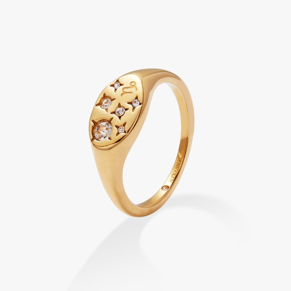Capricorn Zodiac Ring - Willow & Luna