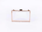 Clear Acrylic Purse - Willow & Luna