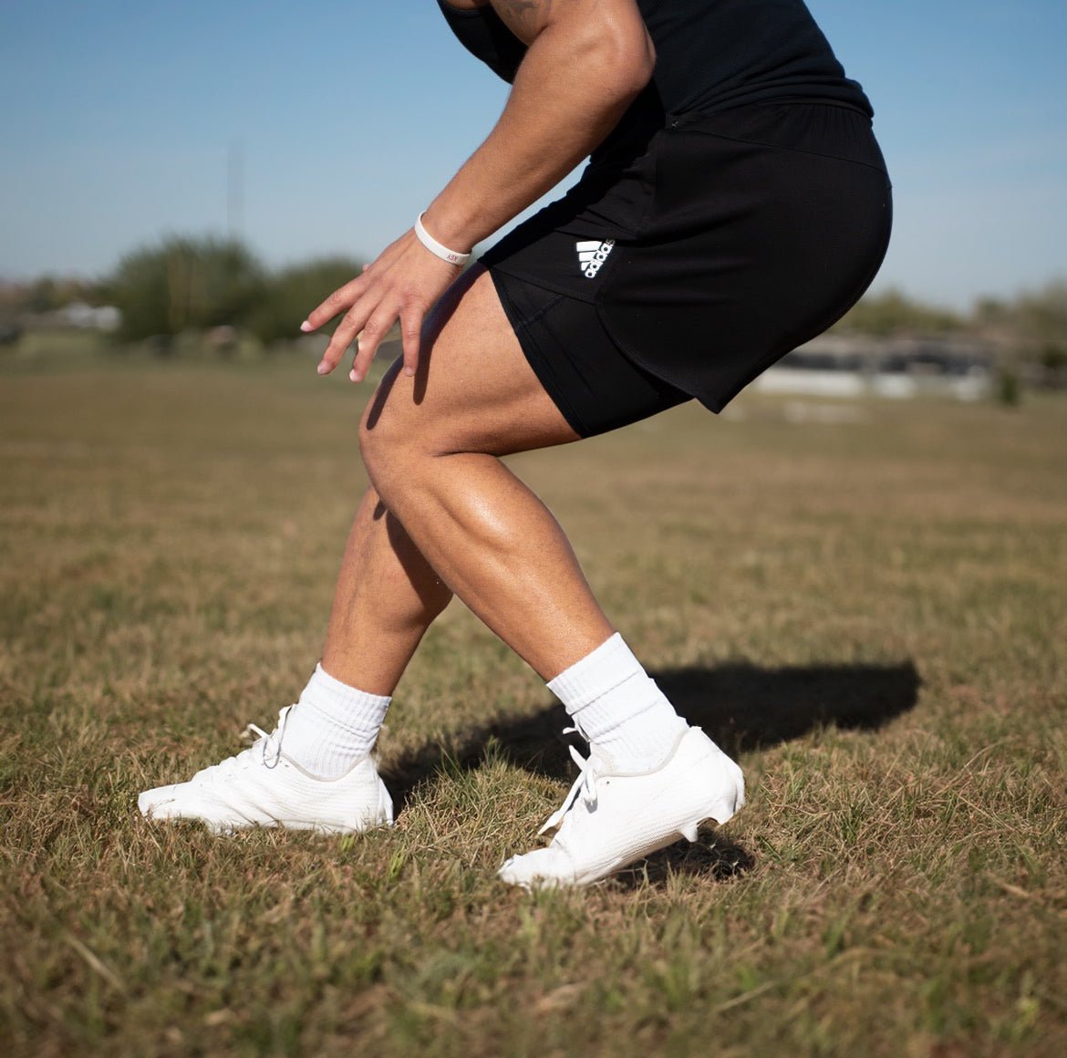 Cloud White - Willow & Luna