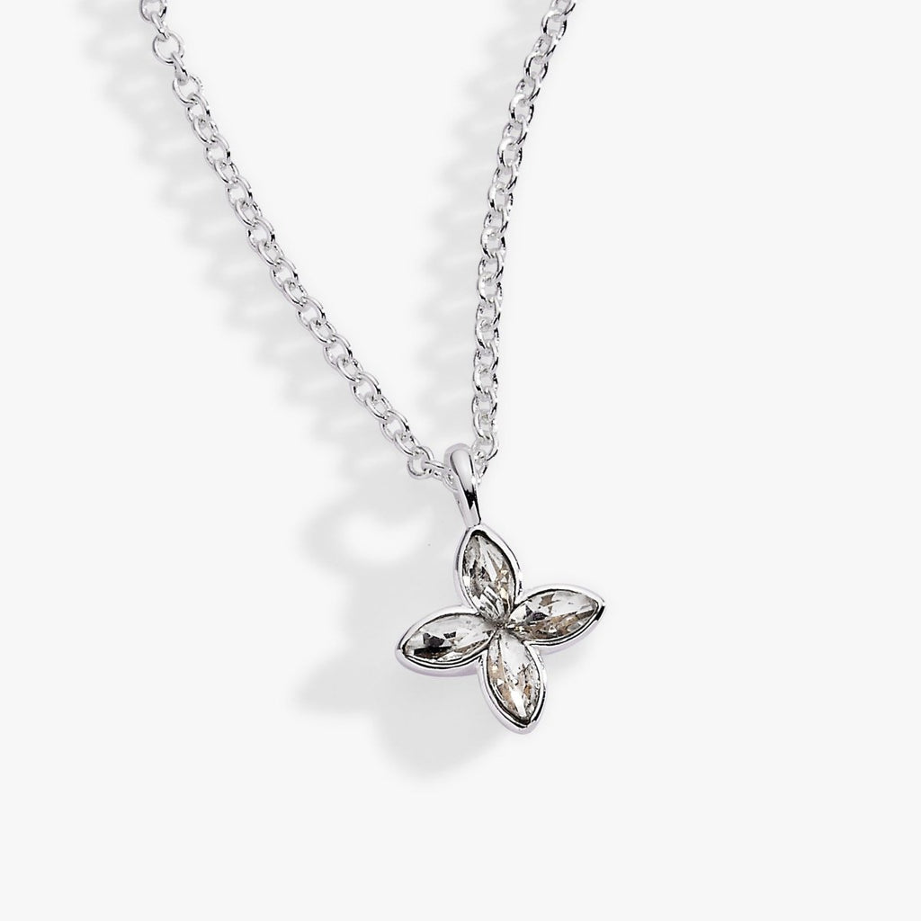 Crystal Logo Star Necklace - Willow & Luna